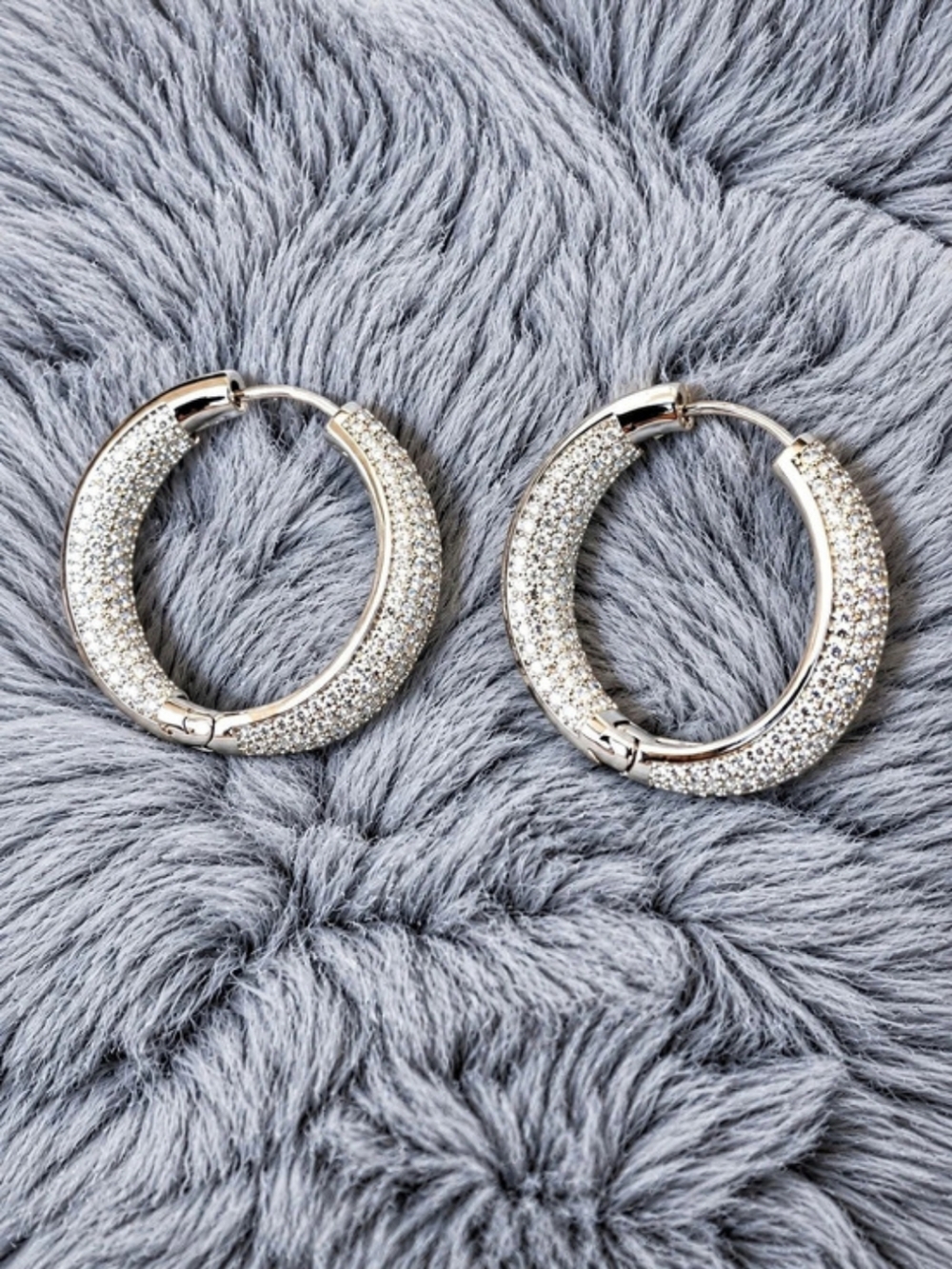 Hoop Earrings in Silver